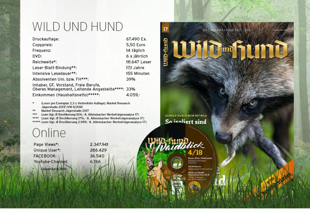 Wild und hund partnersuche